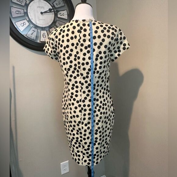 J Crew Cream and Black Polka Dot knee Length Short Sleeve Dress Size 2 - Picture 8 of 11